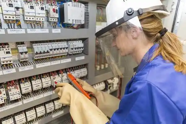 electrician Orchidlands Estates